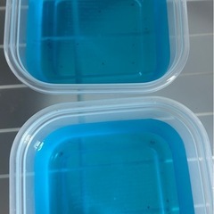 水色桔梗の卵10個②の画像