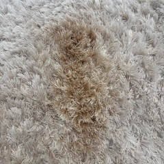 Francfranc カステラグSサイズ　140cm×100cmの画像