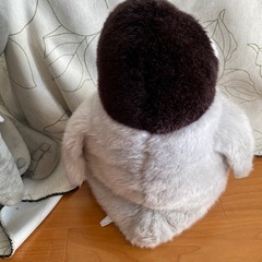 ペンギンの赤ちゃんのぬいぐるみの画像