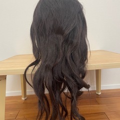 ✨美容師練習用ウィッグ✨ レジーナ No.803CPL （人毛100%） の画像