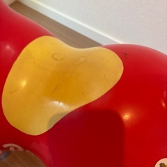 ロディの画像