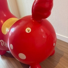 ロディの画像