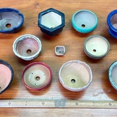 No.42 ミニ鉢　小品盆栽鉢山野草鉢11個の画像