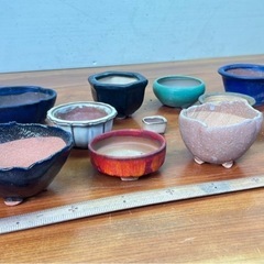 No.42 ミニ鉢　小品盆栽鉢山野草鉢11個の画像