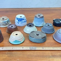 No.41 小品盆栽　山野草多肉植物鉢11個の画像