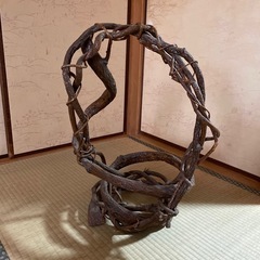木のつるのオブジェの画像