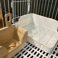 うさぎゲージ、その他の画像