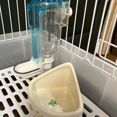 うさぎゲージ、その他の画像