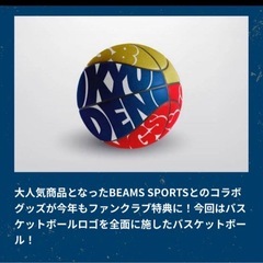 未使用品 未開封琉球ゴールデンキングス　ファンクラブ　特典　BEAMS コラボ　バスケットボールの画像