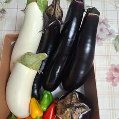 野菜と葡萄の画像