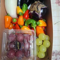 野菜と葡萄の画像