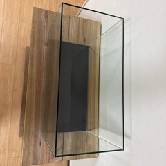 【ガラス水槽】幅60×奥行30×高さ40cm／使用期間3ヶ月（台は別途購入可・京都市内配送可）の画像