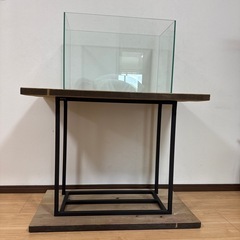 【ガラス水槽】幅60×奥行30×高さ40cm／使用期間3ヶ月（台は別途購入可・京都市内配送可）の画像