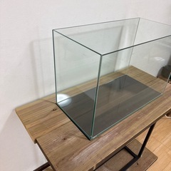 【ガラス水槽】幅60×奥行30×高さ40cm／使用期間3ヶ月（台は別途購入可・京都市内配送可）の画像