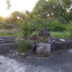 庭石　ガーデニング　庭園　庭作りの画像