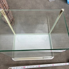 30センチ水槽の画像