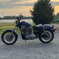 ハーレーダビットソン 87年 XLH 883 4速 エボスポ スポーツスター キャブ車 チェーン 垂れストラット ヴィンテージ パン ナックル ショベル アイアン ソフテイル XL XLCH 883 1000 1200の画像