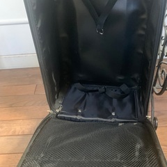 エレッセ　キャリーバッグ　綺麗な方だと思います。の画像