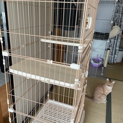 猫ケージの画像