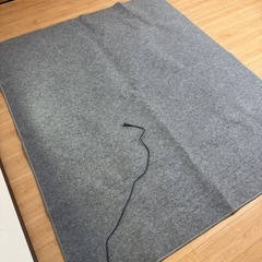 【ホットカーペット】アイリスオーヤマ製／193×232cm／購入1年前の画像