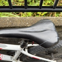 G IＡＮＴ　マウンテンバイクの画像