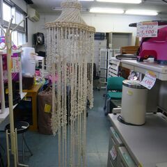 ID：254015　貝殻　飾り物の画像