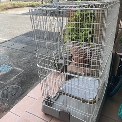 猫　ケージ　キャスター付きの画像
