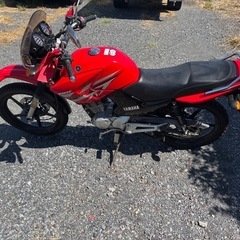 1109.　動画あり　ヤマハ　YBR125G 小型　バイク　125cc 車体　埼玉の画像