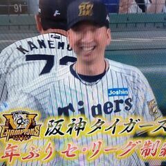 ★近松めだか（藤川阪神優勝記念メダカくじ！）の画像