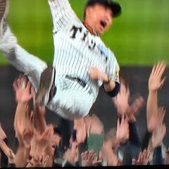 ★近松めだか（藤川阪神優勝記念メダカくじ！）の画像