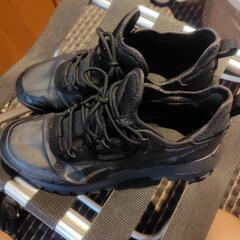 Reebox GORETEX DMX 28cmの画像