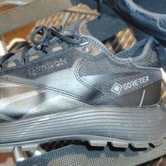 Reebox GORETEX DMX 28cmの画像