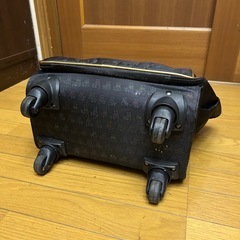 キャリーバッグ　軽量  の画像