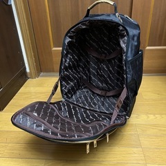 キャリーバッグ　軽量  の画像