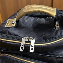 キャリーバッグ　軽量  の画像