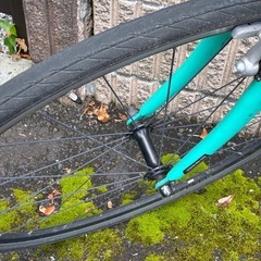GIANT　ESCAPE R3の画像