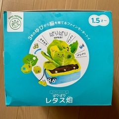 知育玩具　ぱりぱりレタス畑　　の画像