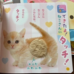 ほぼ新品　絵本　セット　9冊の画像