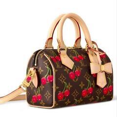 (3）週末限定お値下げ‼️非常に入手困難‼️【AW2025新作ルィヴィトン 2WAYバッグ】正規品の画像