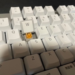 RAZER BLACKWIDOW LITE の画像