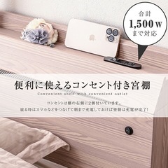 (収納/コンセント/ライト)ダブルベットの画像