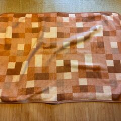 敷き毛布（畳1畳前後サイズ）の画像