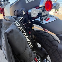 ⭐︎2024年モデル⭐︎ モンキー125 JB05 5速 走行300km『引取限定』の画像