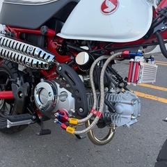⭐︎2024年モデル⭐︎ モンキー125 JB05 5速 走行300km『引取限定』の画像