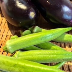 9/7朝どれ無農薬野菜セットの画像