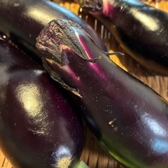 9/7朝どれ無農薬野菜セットの画像
