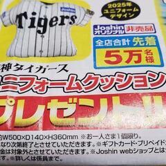 阪神タイガース 優勝記念クッション他の画像