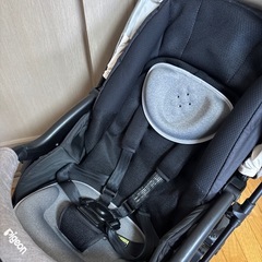 ピジョン　RB2L ランフィリノンの画像