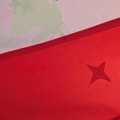 IKEA　キッズテントの画像