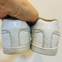 NIKE 16.5の画像